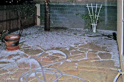 The aftermath of a hailstorm at our house.