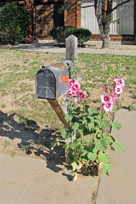 A photo of a mailbox.