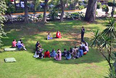 An image of students and their instructor in a park.