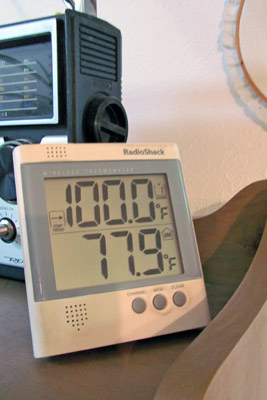 A photo of a thermometer showing 100 degrees Fahrenheit.