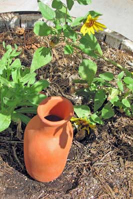 A photo of an olla pot.