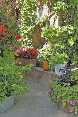 A photo of a pumpkin, plants, flowers, and chiles surrounding a fireplace.