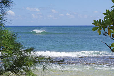 A photo of waves washing ashore on a beach in Hawaii.