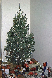 A photographic image our Christmas tree when we lived in Topeka, Kansas.