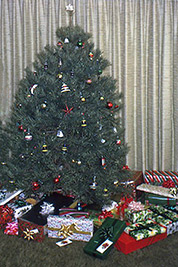 A photographic image our Christmas tree when we lived in Nebraska.