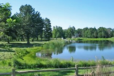 A photographic image of a pond on a calm morning.