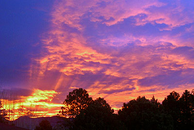 A photographic image of a late autumn sunrise from our front yard.