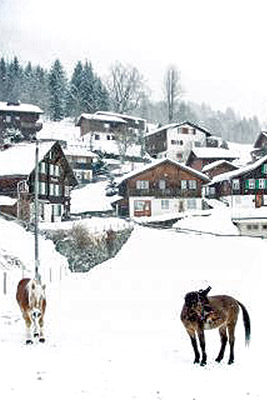 A photographic image of a snowy village.