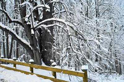 A photographic image of a snowy fence.