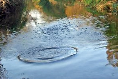 A photographic image of ripples left by a skipping stone.