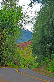 A photographic image of a winding road on the island of Kauai, in the state of Hawaii.