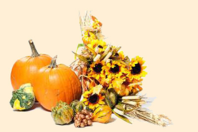 A photographic image of a Fall Cornucopia.