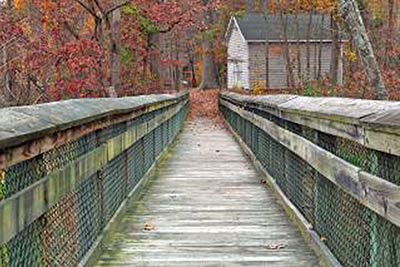 A photographic image of a rustic bridge.