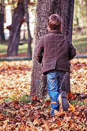 A photographic image of a toddler running towards a tree.