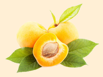 A photographic image of apricots.