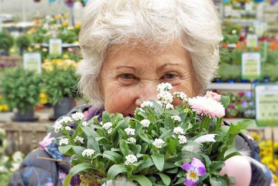 A photographic image of a Granny holding Flowers.