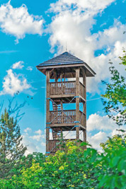 A photographic image of a fire lookout tower.